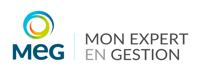 logo de mon expert en gestion